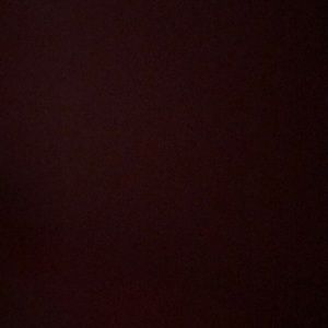 Meet your Posher, Rose